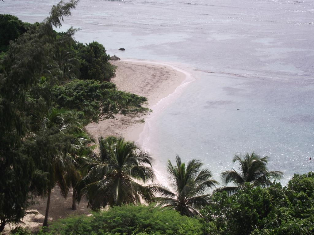 L'Oiseau Du Paradis Vue Mer Studio A Saint Francois A 100 M De La Plage Phòng bức ảnh