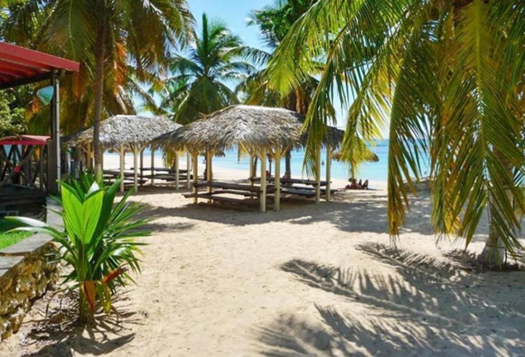 L'Oiseau Du Paradis Vue Mer Studio A Saint Francois A 100 M De La Plage Ngoại thất bức ảnh