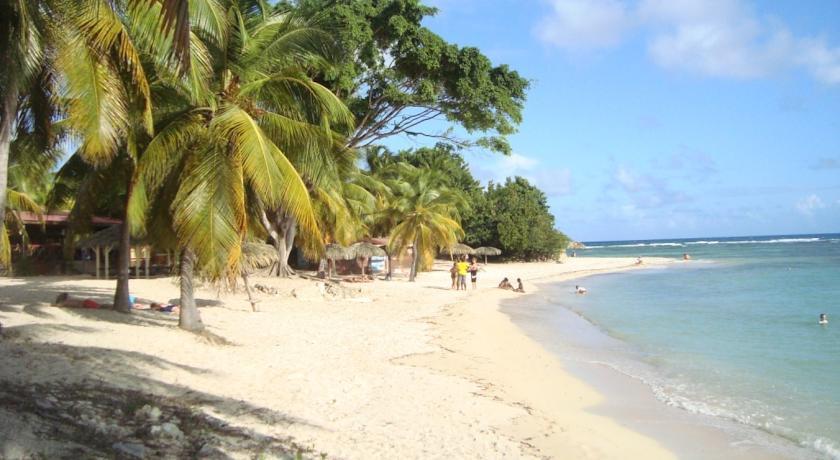 L'Oiseau Du Paradis Vue Mer Studio A Saint Francois A 100 M De La Plage Phòng bức ảnh