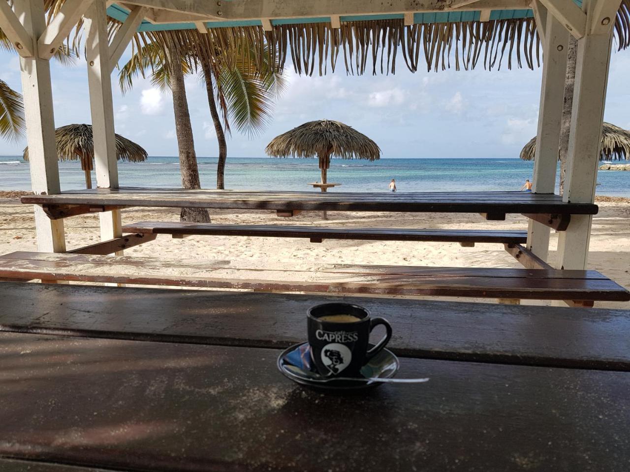L'Oiseau Du Paradis Vue Mer Studio A Saint Francois A 100 M De La Plage Ngoại thất bức ảnh